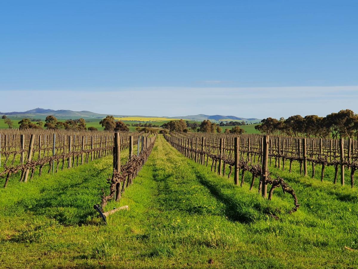 Villa Belalie Wines Jamestown Esterno foto